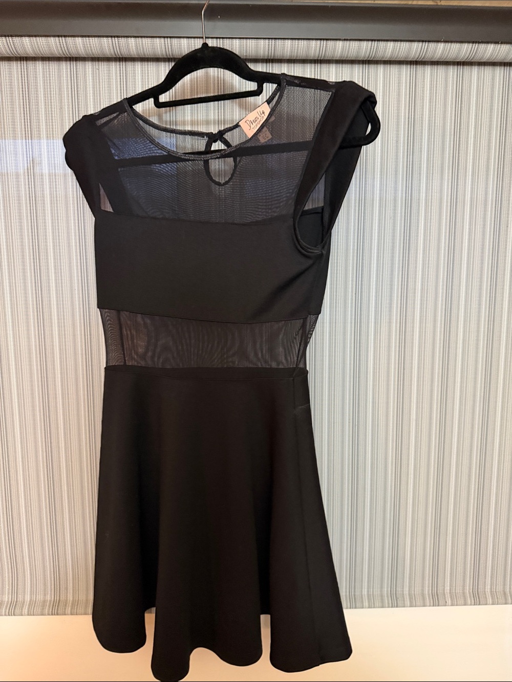 Delicate Mesh Black Fit & Flare Mini Dress